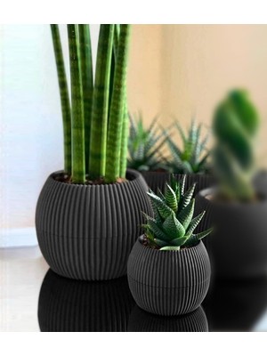 Odea Mercan Yuvarlak Saksı Seti 0,15 Litre + 0,7 Litre, Iç Mekan - Dış Mekan 2li Ekonomik Gizli Su Hazneli Dekoratif Plastik Saksı Set Antrasit Renk