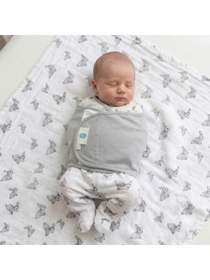 Odea Deux Lapıns Yarım Kemer Kundak - Cotton Grey KEMKUN-COG-000STD