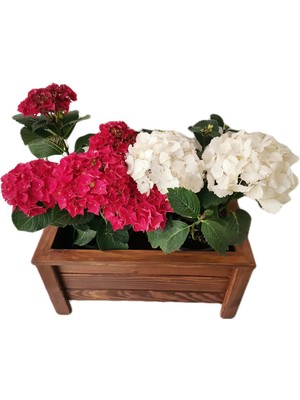 Odea Ahşap Saksı Orta Boy 50X30X27