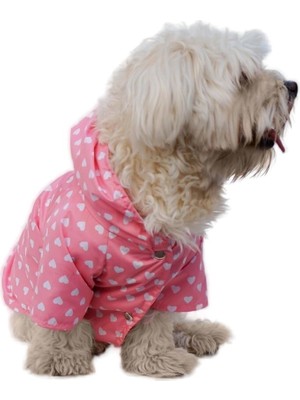 Odea Mpz Pets Kedi ve Köpek Kıyafeti & Elbisesi Yağmurluğu Pembe Kalp Baskılı Fileli Yağmurluk M