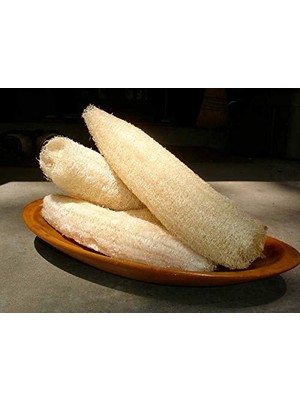 Odea Lif Sünger Kabağı Tohumu (Sponge Gourd)