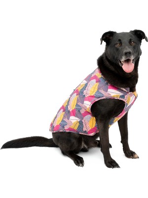 Odea Kurgo Loft Köpek Ceketi, Köpek Için Ters Çevrilebilir Kışlık Mont, Reflektör, Koşum Takımı, Su Geçirmez, Küçük, Orta Boy Büyük Evcil Hayvanlar Için (Sonbahar Festivali, L)