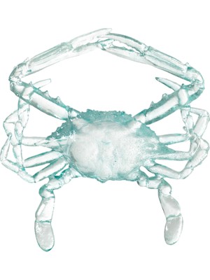 Odea Ocean Crab Biblo 16X17X3 cm