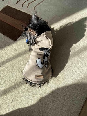 Odea Monopetz Kapişonlu Sweatshirt Köpek ve Kedi Kıyafeti - Pudra Mickey Mouse L Beden