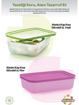 Odea Tupperware Alaska 1 Litre 2 Li Set Buzdolabı ve Derin Dondurucu Saklama Kabı
