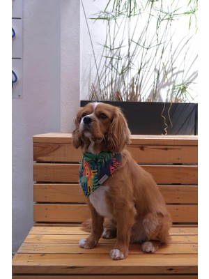 Odea Patiset Hayvan Desenli Köpek Fuları Bandanası Köpek Kıyafeti Yeşil Xs