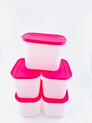 Odea Tupperware Tupperware Alaska 5 Li 1.1 Lt Derin Saklama Kabı (5x1.1 Ml)