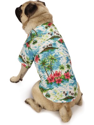 Odea Casual Canine Hawaiian Breeze Camp Köpekler Için Gömlek, 40,64 cm Medium