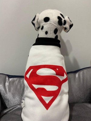 Odea Monopetz Yeni Sezon Köpek ve Kedi Kıyafeti & Elbisesi - Beyaz Süpermen S Beden