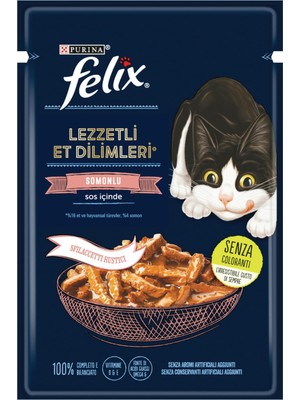 Odea Felix Tasty Shreds Somonlu (26 x 80 Gr)