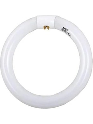 Odea Şavk 22W Simit Floresan G10Q 22W/865
