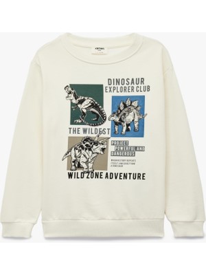 Odea Pamuklu Bisiklet Yaka Uzun Kollu Şardonlu Baskılı Sweatshirt