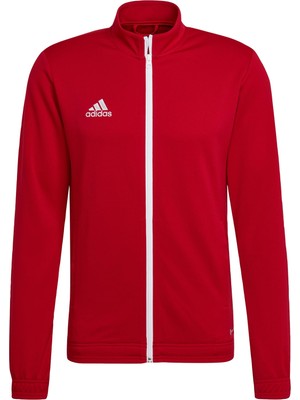 Odea Adidas Erkek ENT22 Tk Jkt Track Top