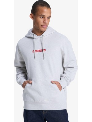 Odea Quiksilver Dna Hoodie Erkek Weatshirt EQYFT05121-6494,BEJ S