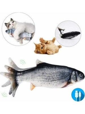 Ett Kedi Oyuncağı Hareket Eden Balık