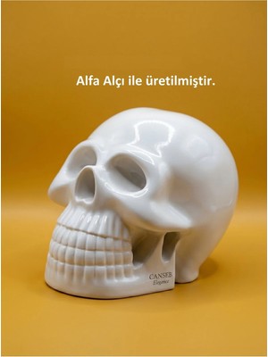 Canseb Elegance 10CM Kuru Kafa Heykeli - Dekoratif Obje Biblo