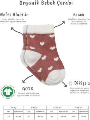 NW NessiWorld 3'lü Penye Cute Stars Soket Çorap BS10115 Pudra