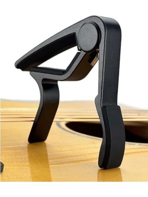 Aesco Metal Gitar Kaposu ve 5 Pena Hediye Seti