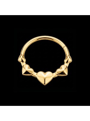 Aida Jewelss Yüksek Kalite G23 Titanium Kalpler Altın Titanyum 8mm x 1.2mm Kilitli Halka Piercing