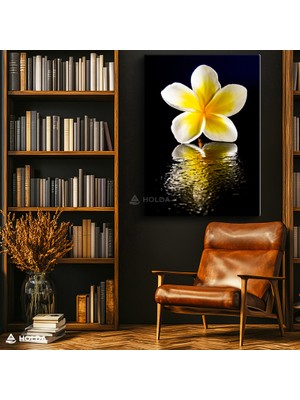 Holda Props Kanvas Tablo Plumeria Çiçeği Çiçek Tablosu Duvar Dekorasyonu