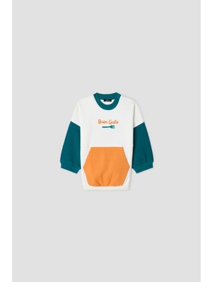 B&G Erkek Bebek Renkli Sweatshirt
