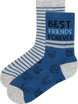 Penti Erkek Çocuk Çocuk Best Friends 2Li Soket Çorap