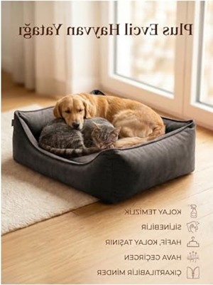 Aesco Plus Silinebilir Kedi Köpek Yatağı, Koltuk Kumaşı, Yıkanabilir, Gri, Large