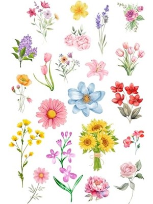 Aesco Karışık 210 Çeşit Çiçek Sticker Seti (10 Sayfa)