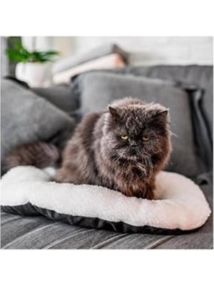 Aesco Gri-Beyaz Oval Peluş Yatak, 55 cm x 36 cm - Kedi ve Küçük Köpekler Için