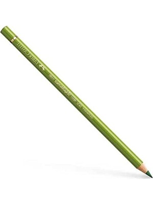 Aesco 5 Renkli Yağlı Boya Kalemi Seti, 3.8 mm Uç Kalınlığı