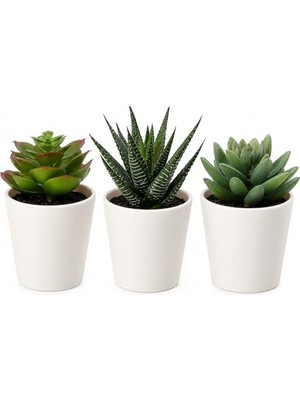 Aesco Ikea Fejka Yapay Saksı Bitkisi Saksılı Iç Mekan Dış Mekan Etli / 3'lü Paket Boyutu 2 ¼ " 3'lü Paket 203.953.31