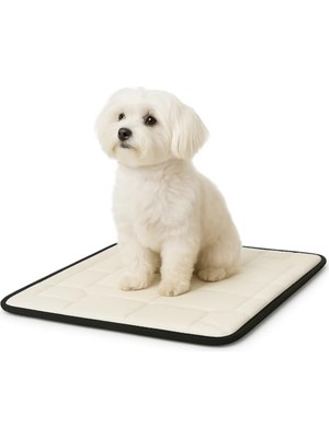 Aesco 80X45 cm Ortopedik Küçük Köpek Yatağı | Yumuşak Peluş, Kaymaz Taban, Yıkanabilir, Destekleyici Süngerli Minder – Evcil Hayvan Konfor Yatağı