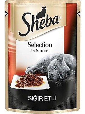 Aesco Köpek Kedi Bornoz 02 (Medium)