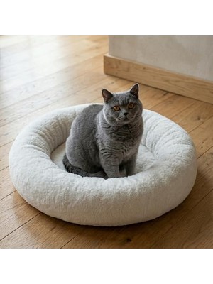 Aesco Teddy Donut Şeklinde, Ultra Yumuşak Kumaşlı, Kaydırmaz Tabanlı, Yıkanabilir Kedi ve Köpek Yatağı (Ekru, Medium)