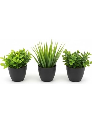 Aesco 3’lü Mini Yapay Çiçek Sukulent Seti, Saksılı Yapay Sukulent Bitki, Dekoratif Masaüstü Mini Bitkiler, Ev ve Ofis Dekoru, 8 cm (Siyah)