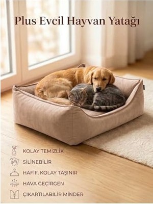 Aesco Plus Silinebilir Kedi Köpek Yatağı, Koltuk Kumaşı, Çıkartılabilir Minder, Bej, Xl