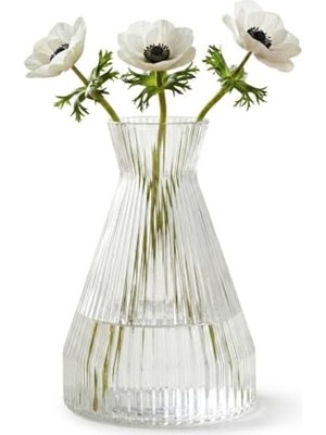 Aesco Deconox Pure Model Şeffaf Cam Vazo - Optikli (Çizgili) Dokulu, Modern Dekoratif Çiçeklik ve Masa Üstü Vazo (22X15 Cm)