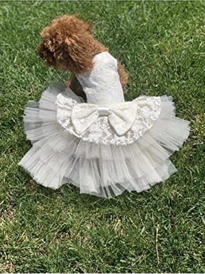Aesco Köpek Kedi Gelinlik (X-Small)