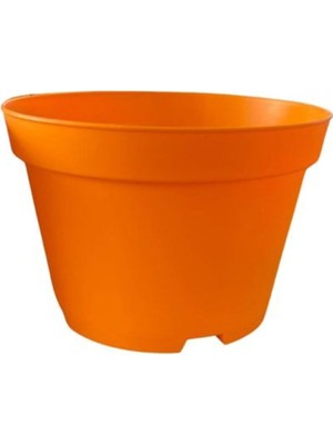 Aesco Katı Plastik Sukulent Saksısı 20 Adet Turuncu (8.5 Cm), MKR012032483
