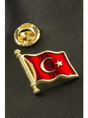 Bijuteri Net Ay Yıldız Yaka Rozet - Gümüş Rengi
