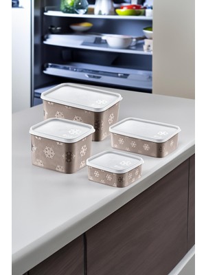 Aesco Smartware 4'lü Set No Frost Saklama Kabı Terra (Tüm Boylar)