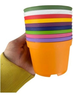Aesco Bitkim Sende Katı Plastik Sukulent Saksısı, 5 Adet, Yeşil, 8,5 cm