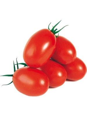 Aesco Gardenbox Saksılık Zeytin Domates Tohumu, 10 Adet, Kahvaltılık Domates