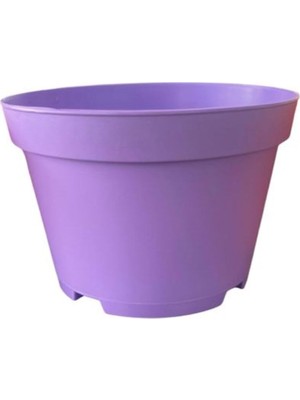 Aesco Bitkim Sende Katı Plastik Sukulent Saksısı, 10 Adet, Açık Mor, 8.5 cm