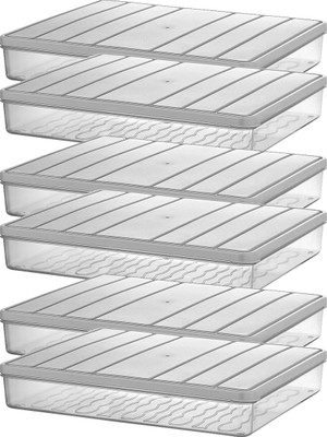 Aesco Selka Home - Nora 6'lı 2.5 Litre Büyük Boy Açık Gri Saklama Kabı