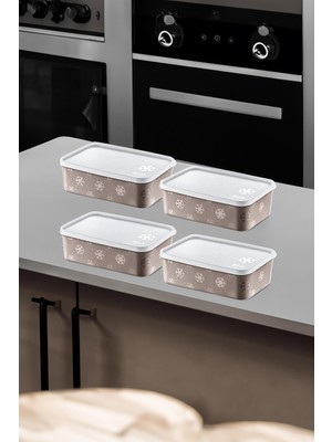 Aesco Smartware 4'lü Set No Frost Saklama Kabı Terra 1600 ml
