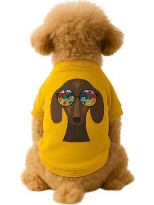 Aesco Mpz Pets Kedi ve Köpek Kıyafeti & Elbisesi Sarı Sweatshirt Manzara Gözlüklü L