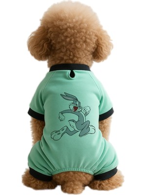 Aesco Mpz Pets Kedi ve Köpek Kıyafeti & Elbisesi Mint 4 Bacak Tulum Bugs Bunny Yeşil S