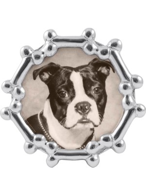 Aesco Mariposa Köpek Kemik Yuvarlak Çerçeve, Gümüş, 4 x 6