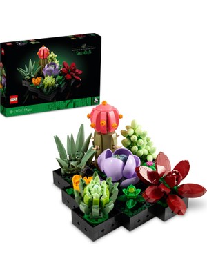 Aesco LEGO Botanicals Sukulentler 10309
